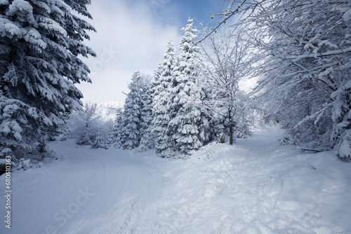 Wallpaper Mural Krajobraz zimowy w górach, białe zaśnieżone drzewa Torontodigital.ca