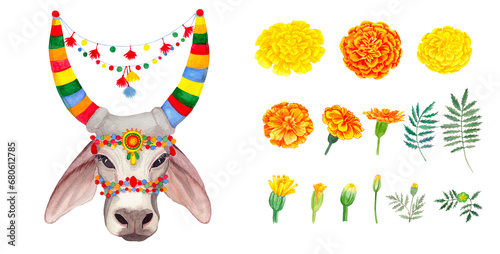 Indian traditional holy cow and yellow, orange marigold flowers, leaves and buds. Indian festival Diwali floral decorations. Pongal. Watercolor artistic illustration on a white background photo