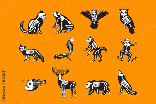 Collection of Halloween Animals Monster Skeletons. Roentgen skeleton bones, fairy tale creepy characters set. Cartoon black white vector isolated on pumpkin orange background