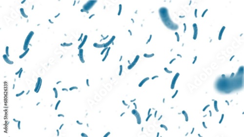 Bacteria cells seamless loop. 3D animation of human cells under a microscope on white background 4k photo
