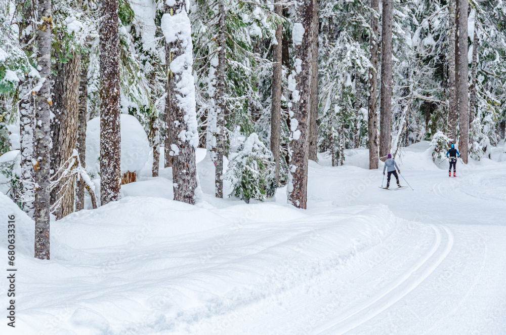 Snow trail in park at winter day in Vancouver, Canada, North America. Day time on January 2023. Snow trail in park at winter day in Vancouver, Canada, North America. Day time on January 2023.
