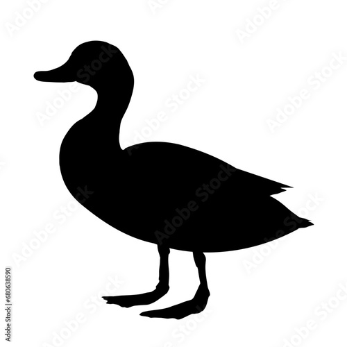 duck  duck silhouette - vector illustration - vector illustration