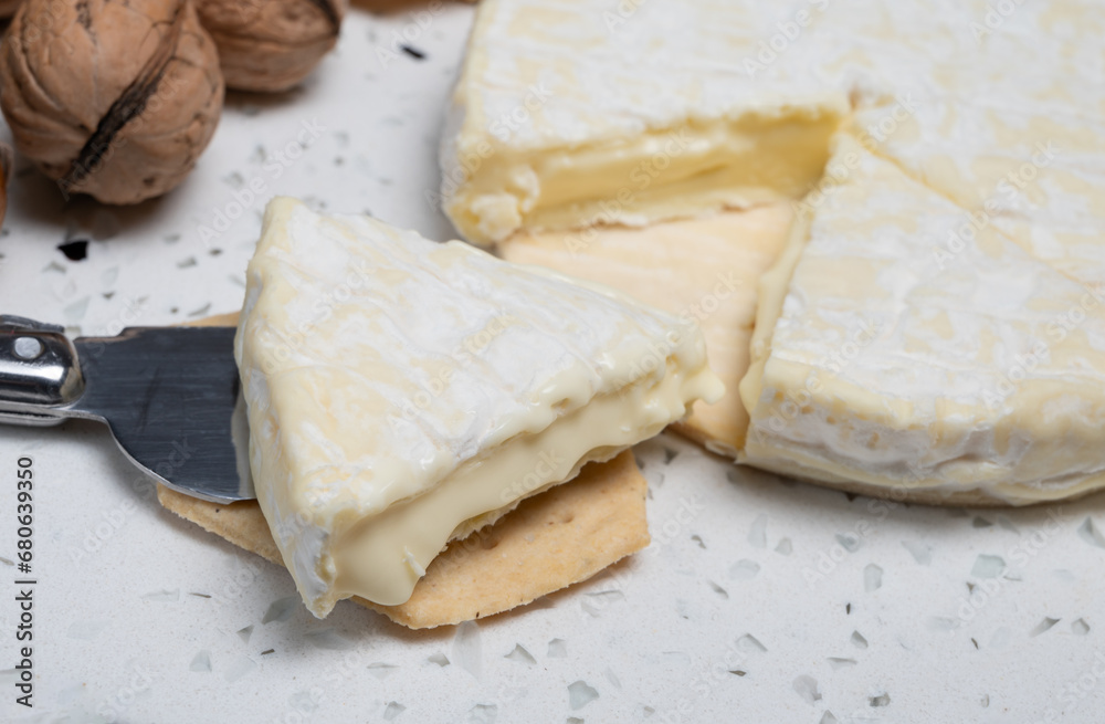 French soft Cremeux de Normandie cheese, soft creamy cheese with white mold