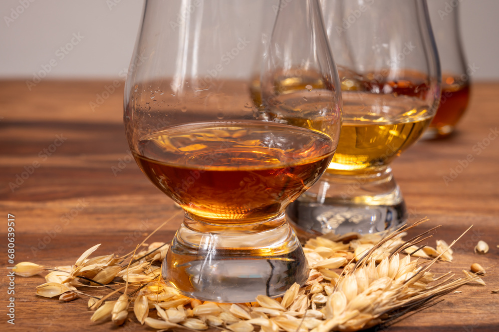 Tasting of different Scotch whiskies strong alcoholic drinks, drum of whiskey and barley grains on table Tasting of different Scotch whiskies strong alcoholic drinks, drum of whiskey and barley grains on table