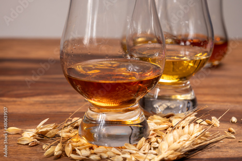 Tasting of different Scotch whiskies strong alcoholic drinks, drum of whiskey and barley grains on table photo