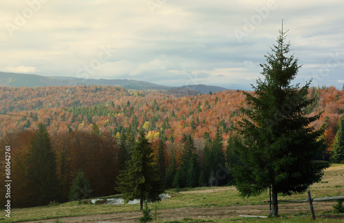 Countryside in mountains at sunrise. Grassy rural slopes with fields and trees in fall foliage in autumn. Magnificent mountain in the hazy distance.