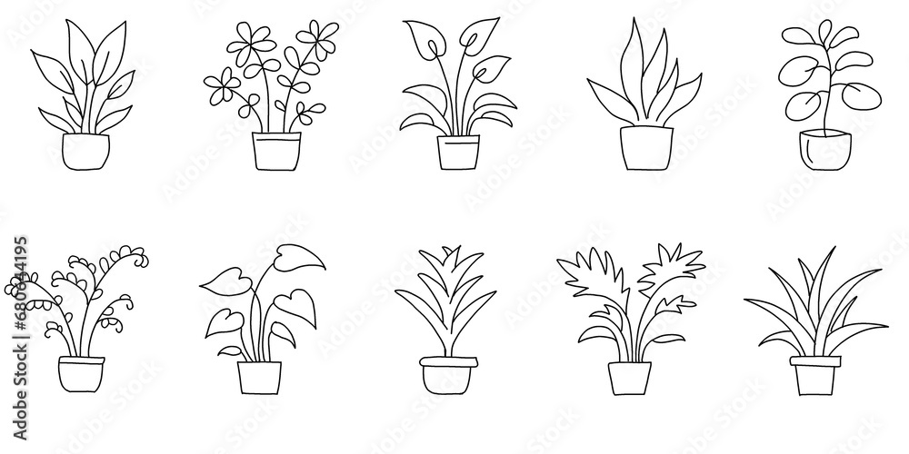 Collection of hand drawn flowers and potted plants.