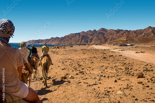 Fotografija A caravan of camels carrying tourists along the shores of the Red Sea and high mountains