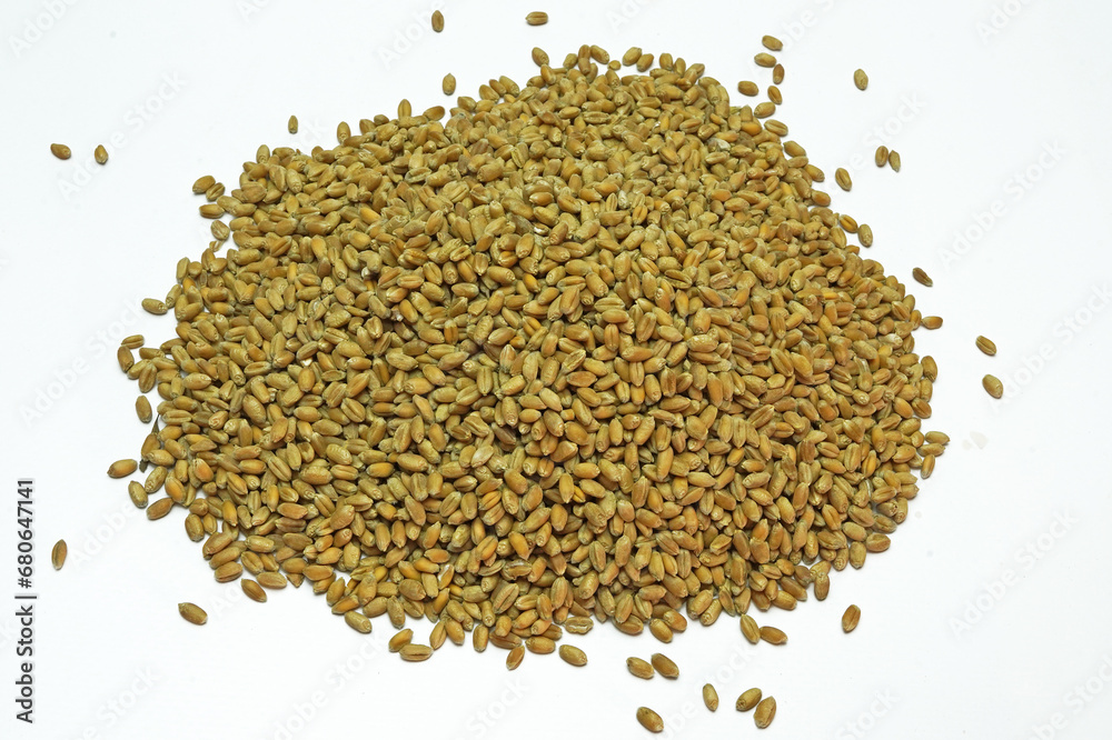 Wheat seeds close up on a white, isolated background. Wheat seeds close up on a white, isolated background.