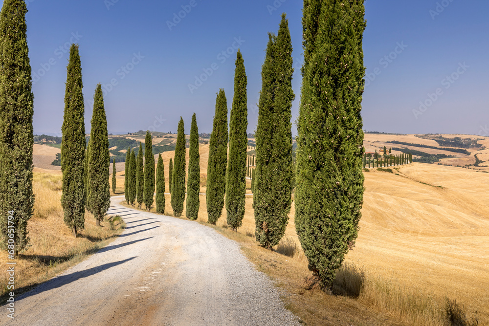 Fototapeta premium Asciano, Italy - July 22, 2023: Tuscan landscape. One of the most famous location with cypresses trees and white gravel road in Tuscany, near Asciano (Siena). Italy