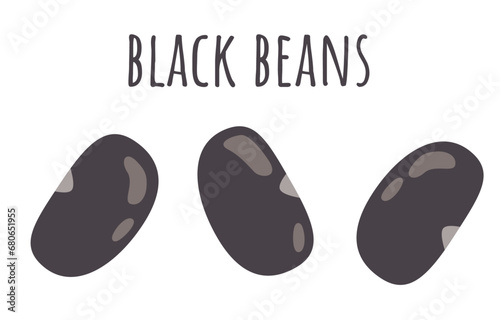 Black turtle bean illustration isolated on white background. Beans vector graphic. Latin cuisine ingredient. Vegan protein source. 