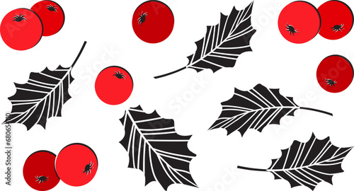 Christmas holly berry vector icon, mistletoe and leaf, red and black ilex branch, xmas plant set isolated on white background. Cartoon holiday illustration