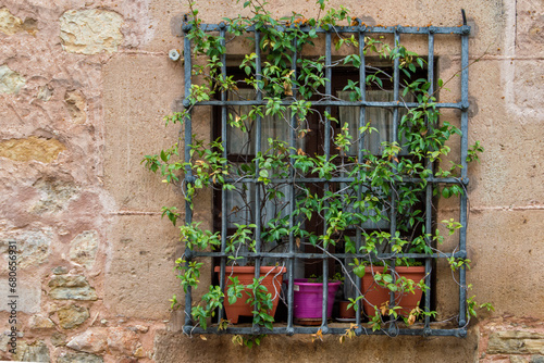 Window with barred and plants on a stone facade © claverinza