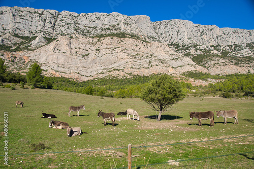 Montagne de Sainte Victoire in Südfrankreich photo