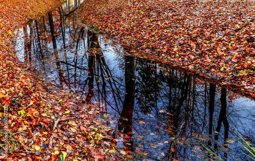 Late autumn with small river in old public park park