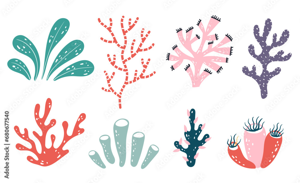 Seaweed alga marine sea plant aquatic reef isolated set. Vector flat graphic design illustration
