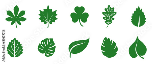Leaf icons set ecology nature element, green leafs, environment and nature eco sign. Leaves on white background – vector for stock