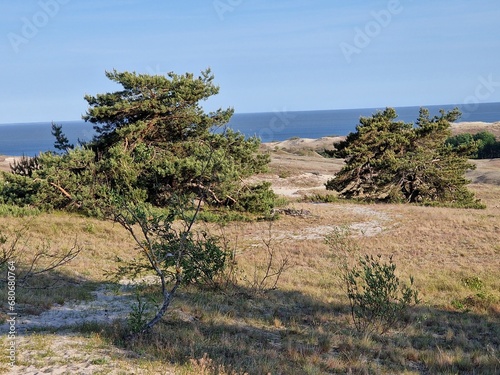 Meditative Landschaft am baltischen Meer