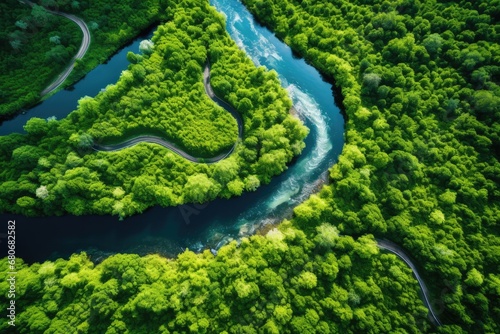 Top view of a winding river through forest, drone photography style, generative AI