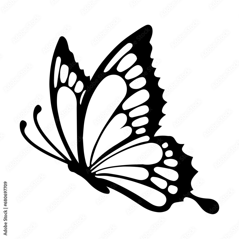 vector, contorno mariposa