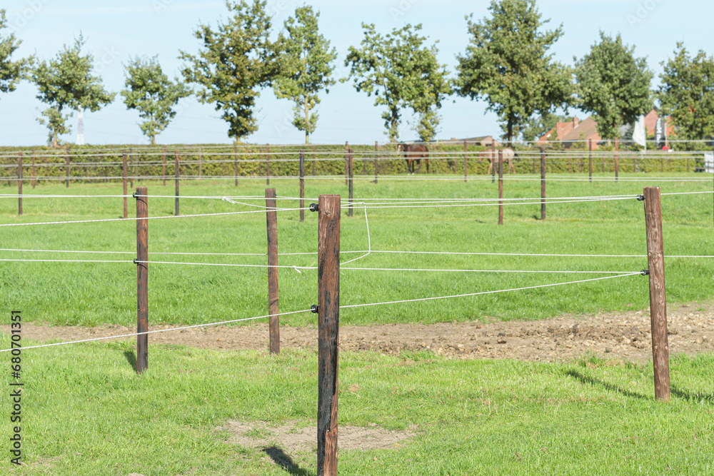 Fototapeta premium Low power electric wire for fencing horses and domestic animals in pastures and enclosures in open spaces