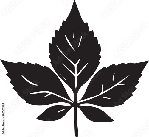 leaf EPS, leaf Silhouette, leaf Vector, leaf Cut File, leaf Vector