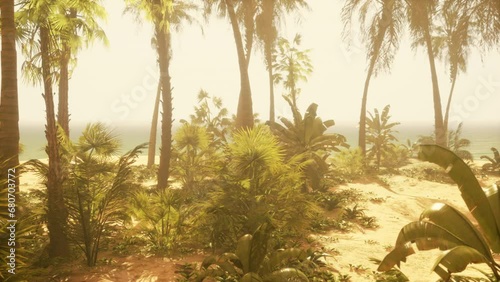 A tropical beach framed by lush palm trees photo