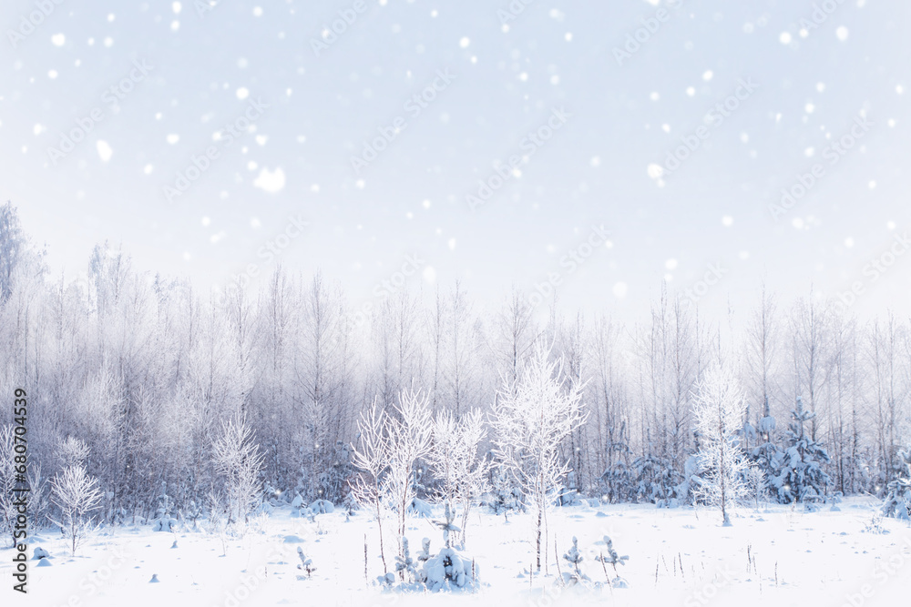 Landscape. Frozen winter forest with snow covered trees. Landscape. Frozen winter forest with snow covered trees.