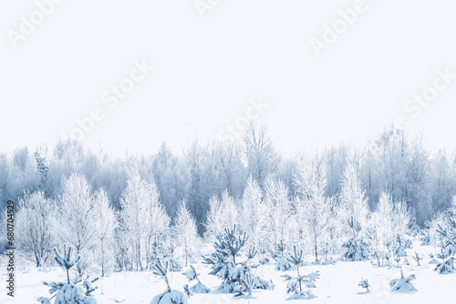 Landscape. Frozen winter forest with snow covered trees. © alenalihacheva
