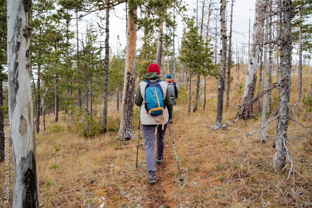 Obraz premium A group of people making a hiking trip with backpacks in the forest, trekking in a hilly area, an autumn adventure in nature.