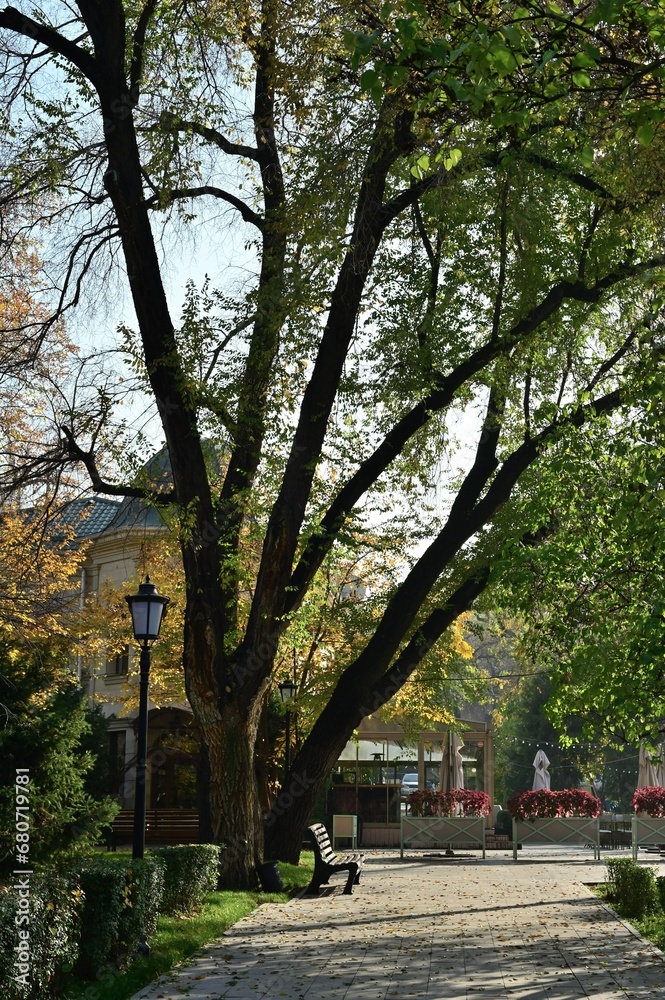Trees with yellow leaves in the park near Opera theater of Almaty on a sunny autumn day