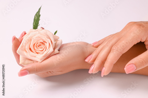 Woman holding beautiful rose on white background  closeup