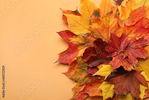 Autumn season. Colorful maple leaves on pale orange background, top view with space for text