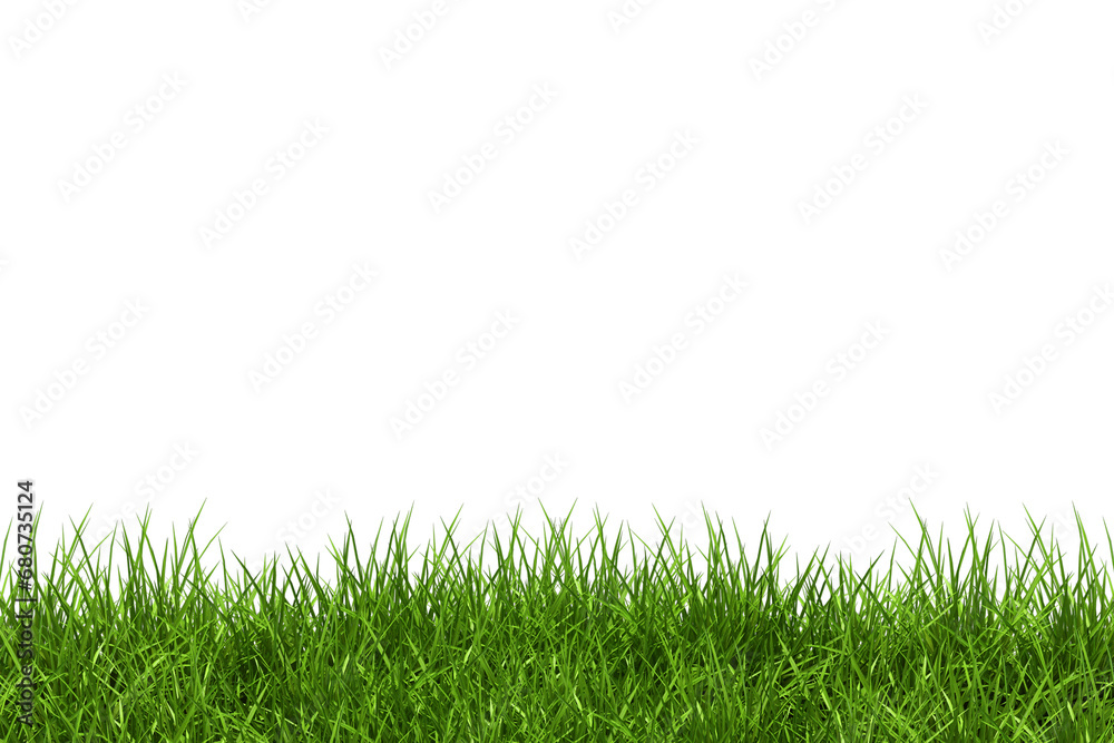 green grass on transparent background green grass on transparent background