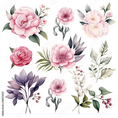 Set of soft watercolor peonies flowers isolated on a transparent background. Generative AI © MDNANNU