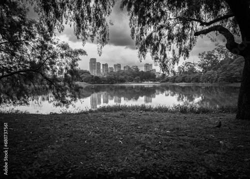 black and white city reflection