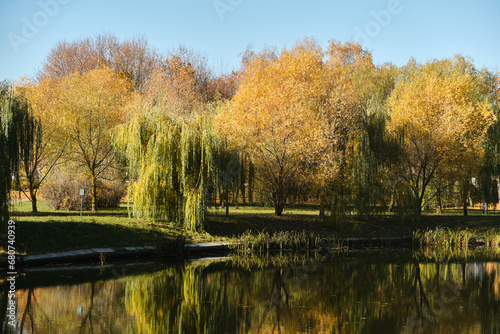 Autumn foliage is reflected in the river. Riverside environmnet of autumn river photo