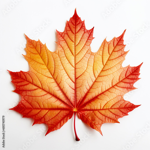 A vibrant autumn maple leaf, AI Generative.