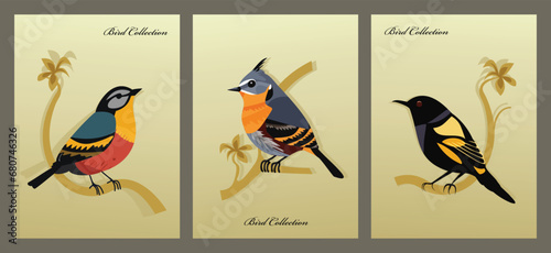 Vintage bird collection posters  colourful birds on the branches  bullfinch  crow  waxwing  vector illustration