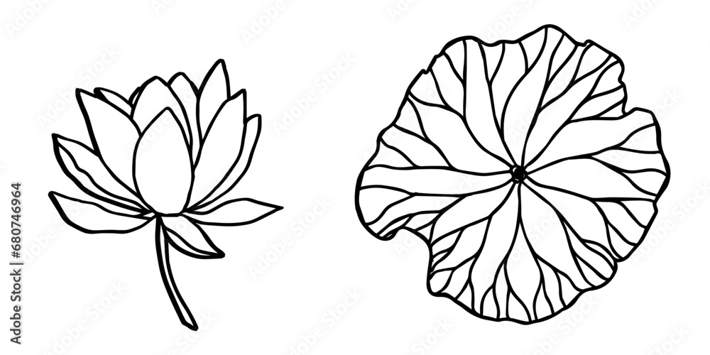 lotus flowers, leaves and buds black line art. Set of vector illustration. Outline floral drawing for for logo, tattoo, packaging design, compositions. Water Lily botanical vector design.