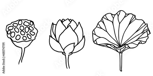 lotus flowers, leaves and buds black line art. Set of vector illustration. Outline floral drawing for for logo, tattoo, packaging design, compositions. Water Lily botanical vector design.