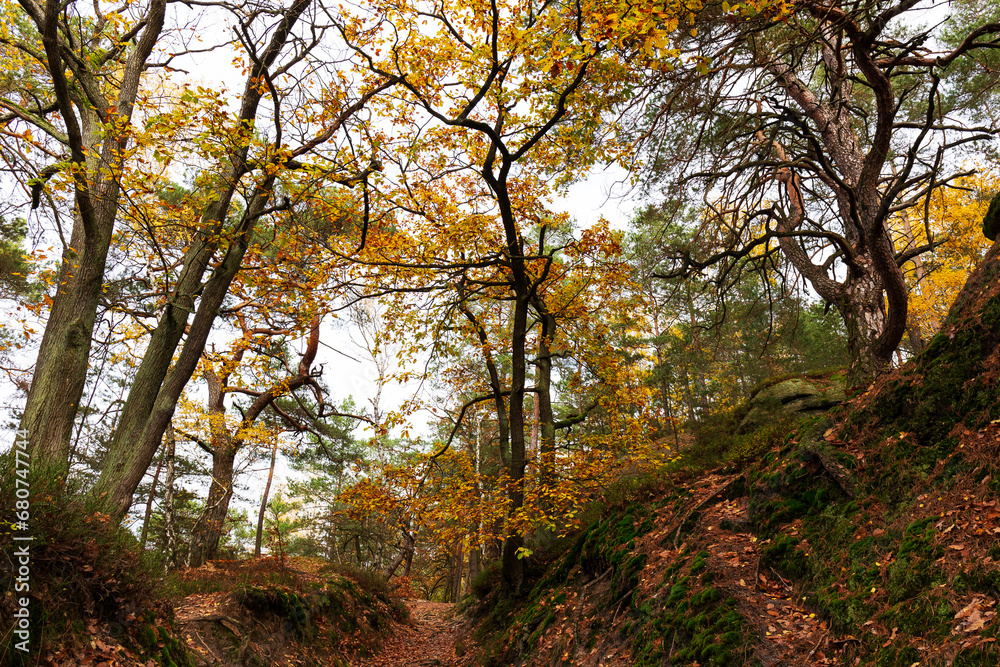 Colorful autumn Landscape in the Central Bohemian Region of the Czech Republic, Kokorin