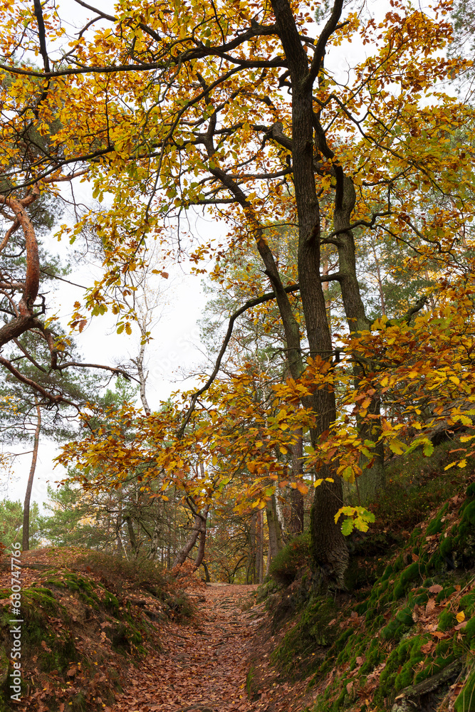 Colorful autumn Landscape in the Central Bohemian Region of the Czech Republic, Kokorin