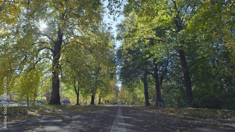 Background video of a walking path in the autumn park. Running tracks ...