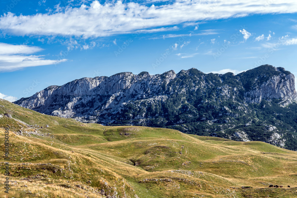 Fototapeta premium Durmitor National Park Montenegro