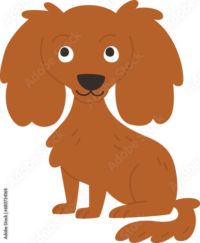 Poodle Dog Sitting