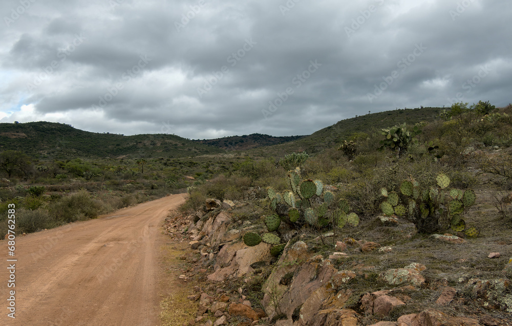 Dirt road and desert landscape in Guanajuato Mexico