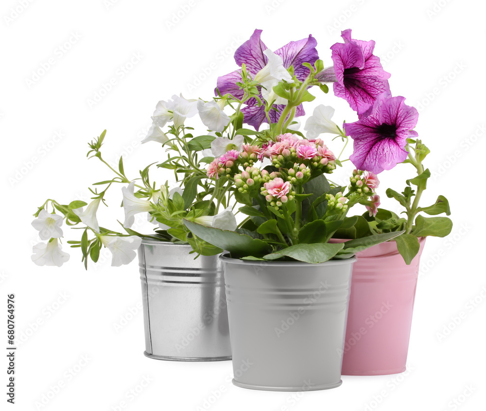 Beautiful flowers in metal pots isolated on white