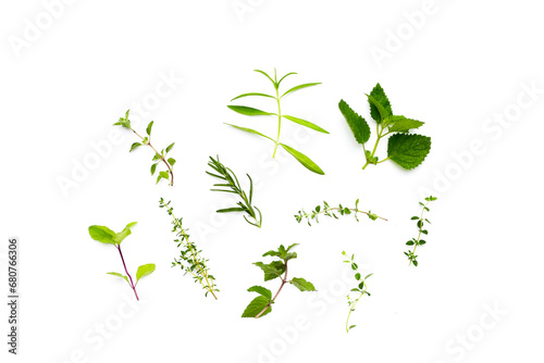 Fresh herbs on white background. © Bowonpat
