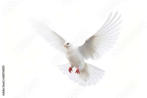 white dove flying isolated on white background, Generative ai